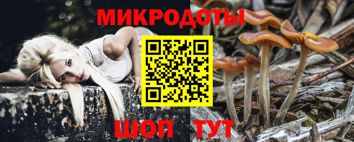 Искитим  наркота  Вход с VPN  Галлюциногенные грибы мицелий 